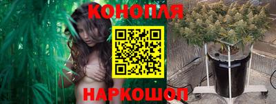 прущие крисы Гай