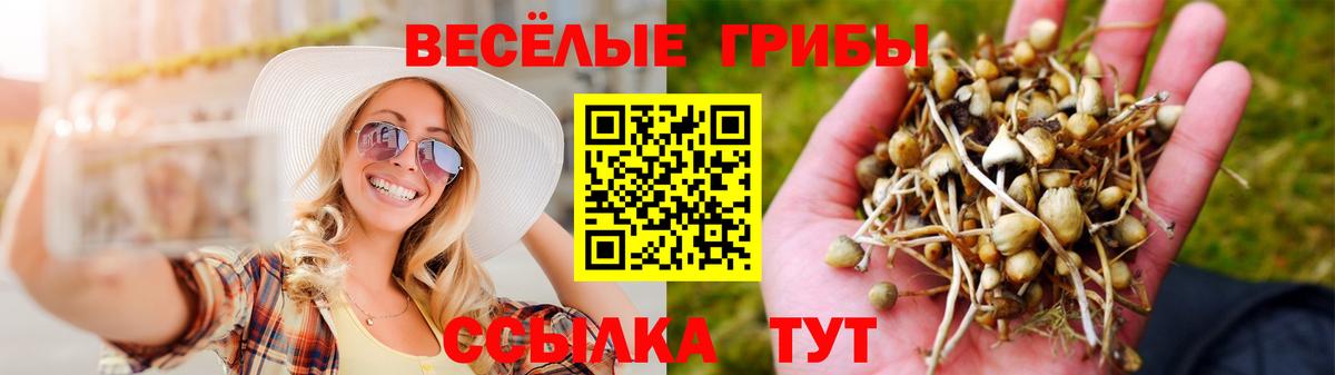 Галлюциногенные грибы MAGIC MUSHROOMS  Псилоцибиновые грибы Psilocybine cubensis  Вход с VPN  Новоалтайск 